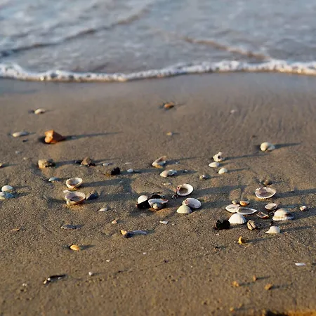 Appartamento In 49969 *