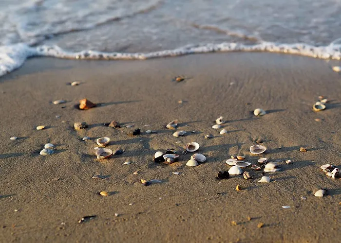 Appartamento In 49969 *